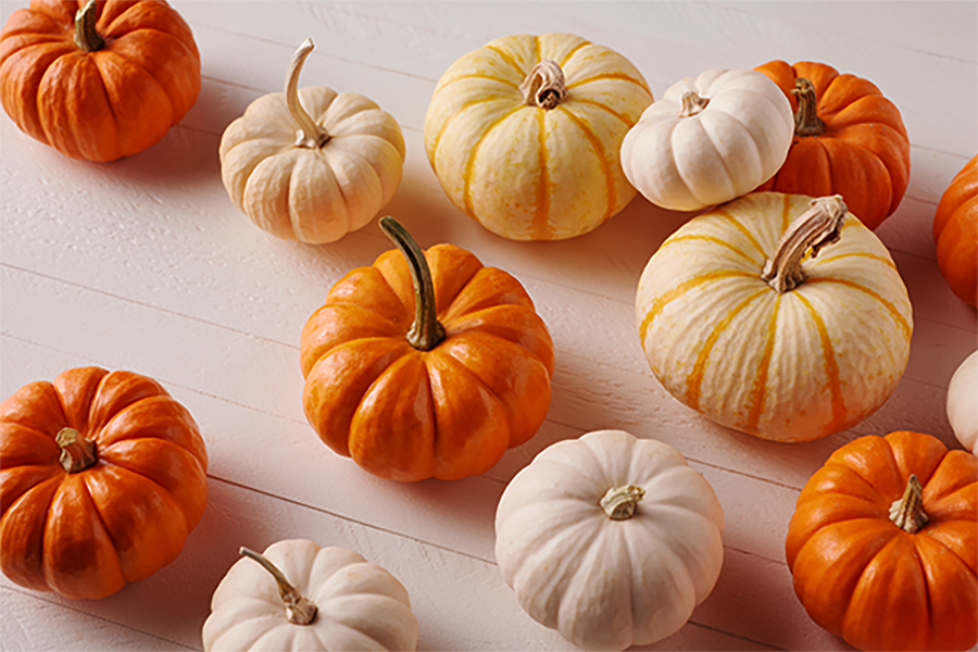 small halloween pumpkins