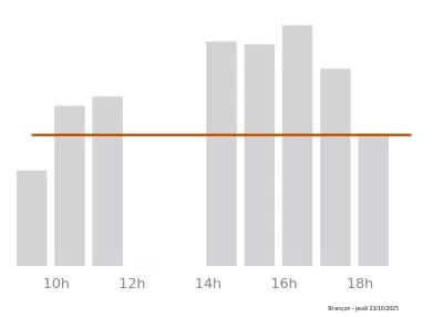 Voir le trafic sur Google maps https://maps.google.com/maps?cid=13690335147999747680