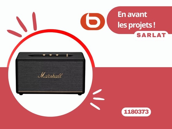 Enceinte résidentielle MARSHALL 🎶