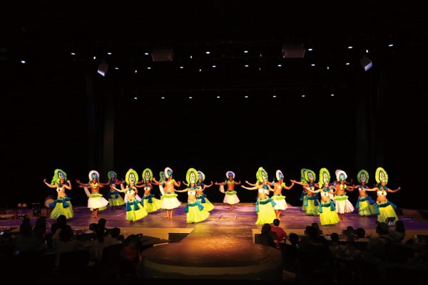 華やかなダンスやパフォーマンスに感激