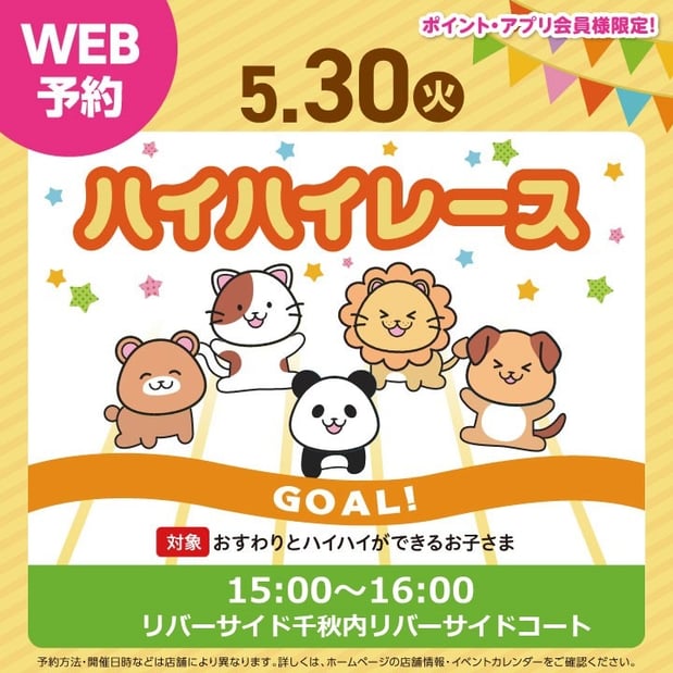 ハイハイレース