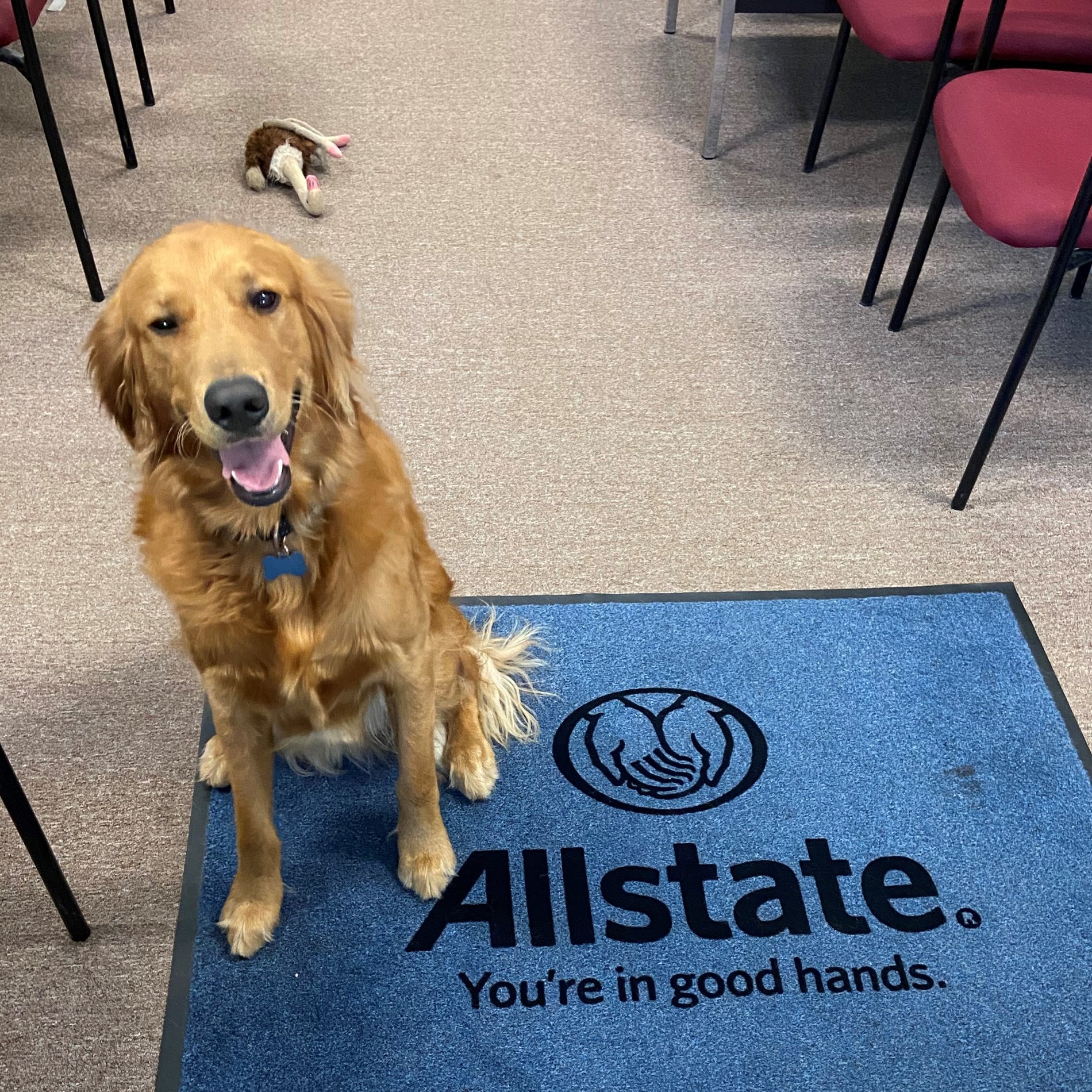 Agency Mascot