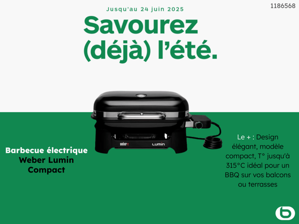 barbecue weber Boulanger Tourville la rivière Rouen