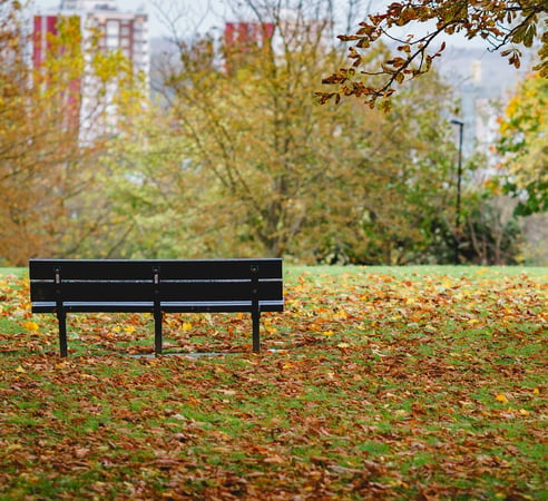 An empty bench in Hilly Fields Park at Fall.