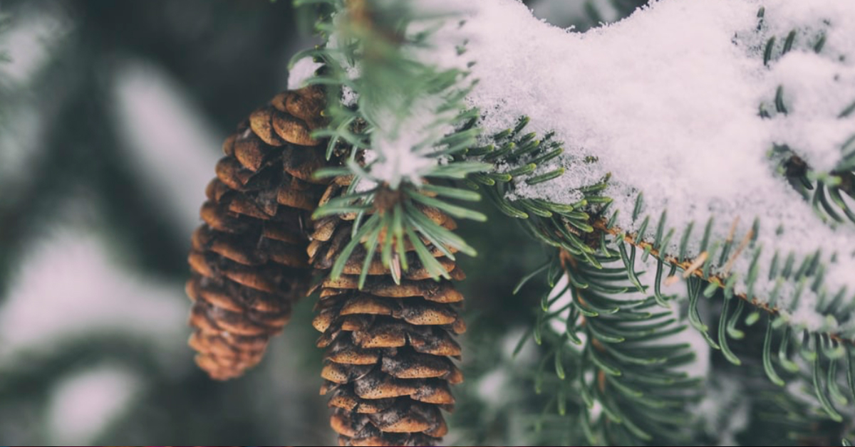 Hero Background Image