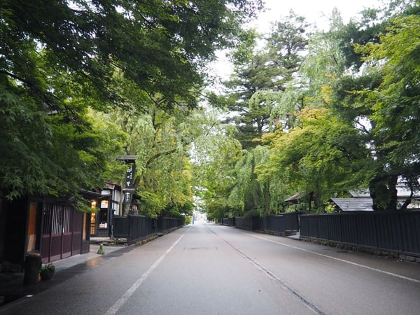 角館の武家屋敷通り