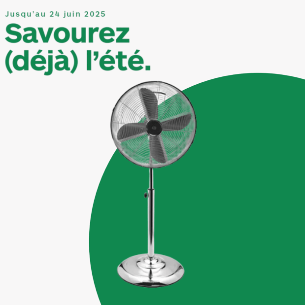 Ventilateur ESSENTIELB EVT-P 40