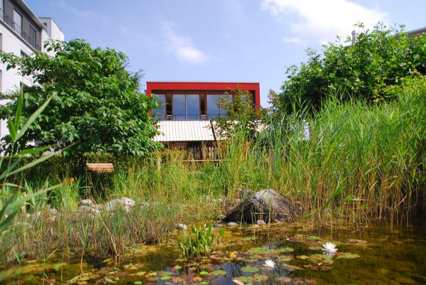 Der schöne Teich mit Aussicht auf die Gartenterrasse und den Saal