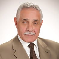 Mohamed Elashawah