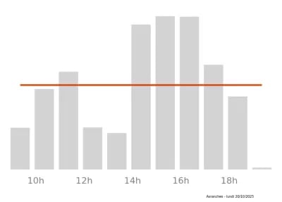 Voir le trafic sur Google maps https://maps.google.com/maps?cid=16146314322635239790