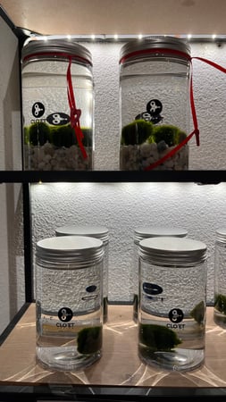 Marimo, Lugano;Bioggio,Ticino