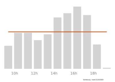 Voir le trafic sur Google maps https://maps.google.com/maps?cid=12338588797686544230
