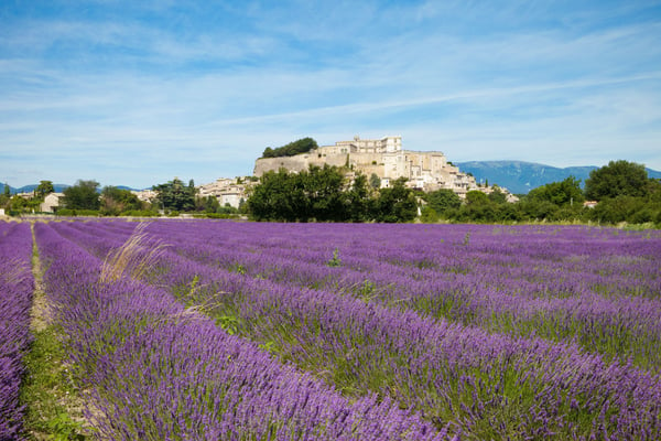 AccorHotels.com|planifica tus viajes de negocios o vacaciones en Valence, Francia