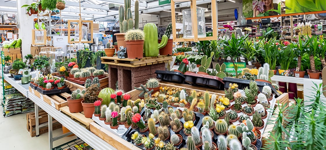 Dein OBI Markt KölnDellbrück, Wasserwerkstr.12