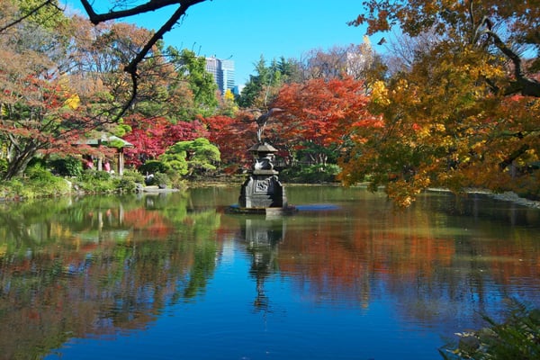 中央に鶴の噴水を配した雲形池（くもがたいけ）　写真提供：（公財）東京都公園協会