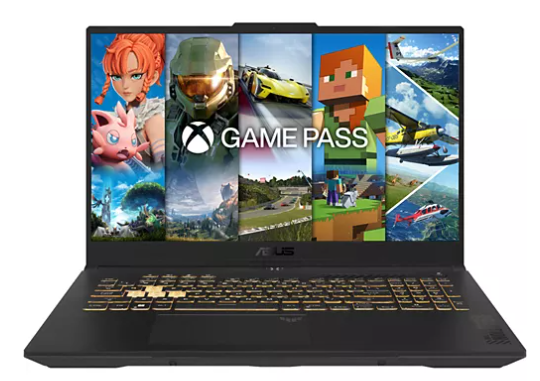 PC Gamer ASUS TUF F17-TUF707VV-HX221W