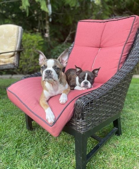 Our Allstate agency is pet friendly. We welcome you to bring your 'friendly' pets to the office when you visit us and ask how we can assist you with your auto, home and other insurance needs.