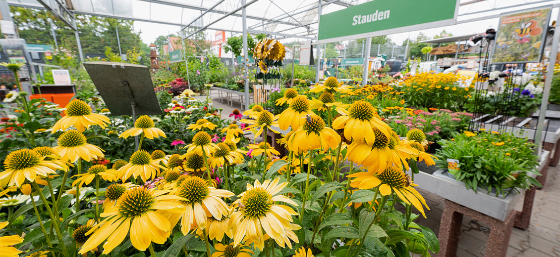 Dein OBI Markt Höchstadt an der Aisch, Böhmerwald Str. 23