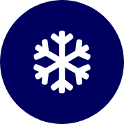 Frozen Foods Icon