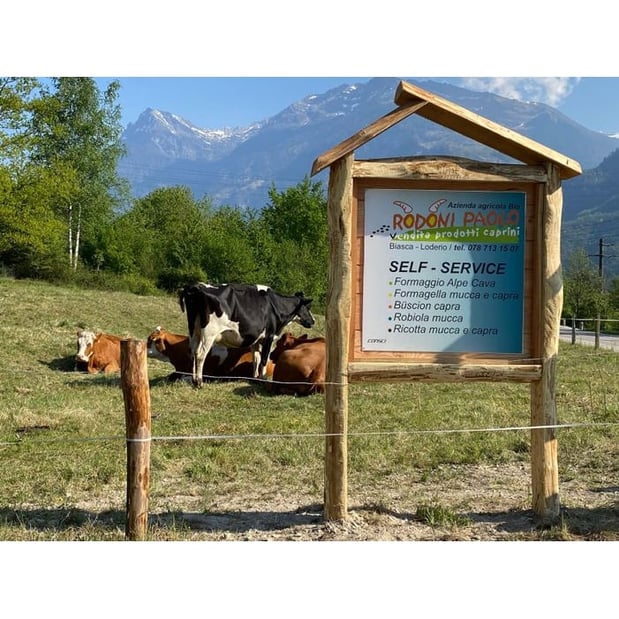 Logo de Azienda Agricola Rodoni Paolo