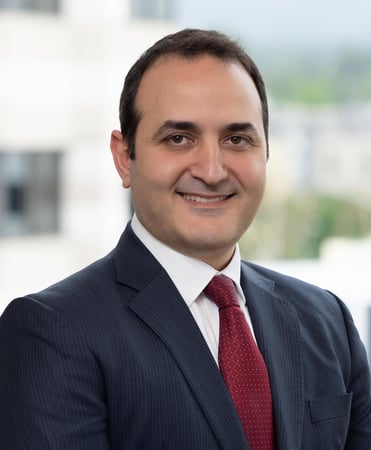 Photo of David Pogosyan