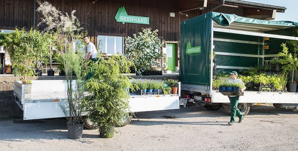 Pflanzenlieferung in die ganze Schweiz