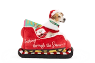 dog in sleigh