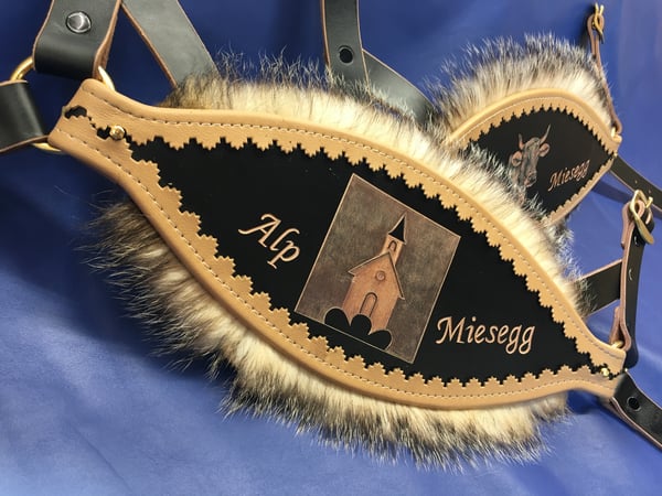 Nasenbänder