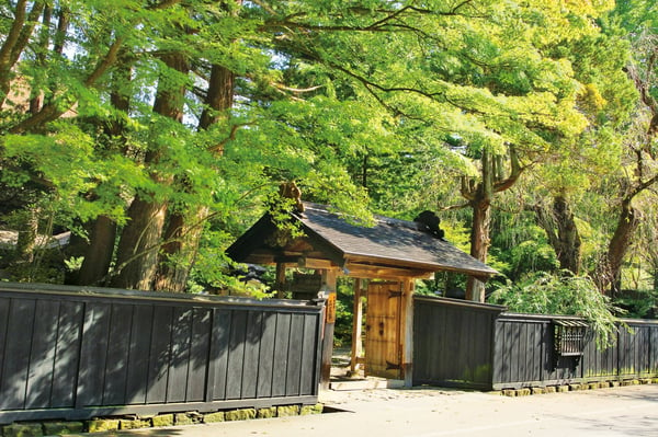 【秋田県】絶景、名湯、美食の宝庫！秋田のみどころ6エリア紹介