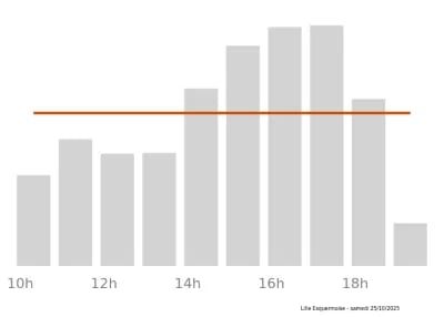 Voir le trafic sur Google maps https://maps.google.com/maps?cid=16103312035567342029