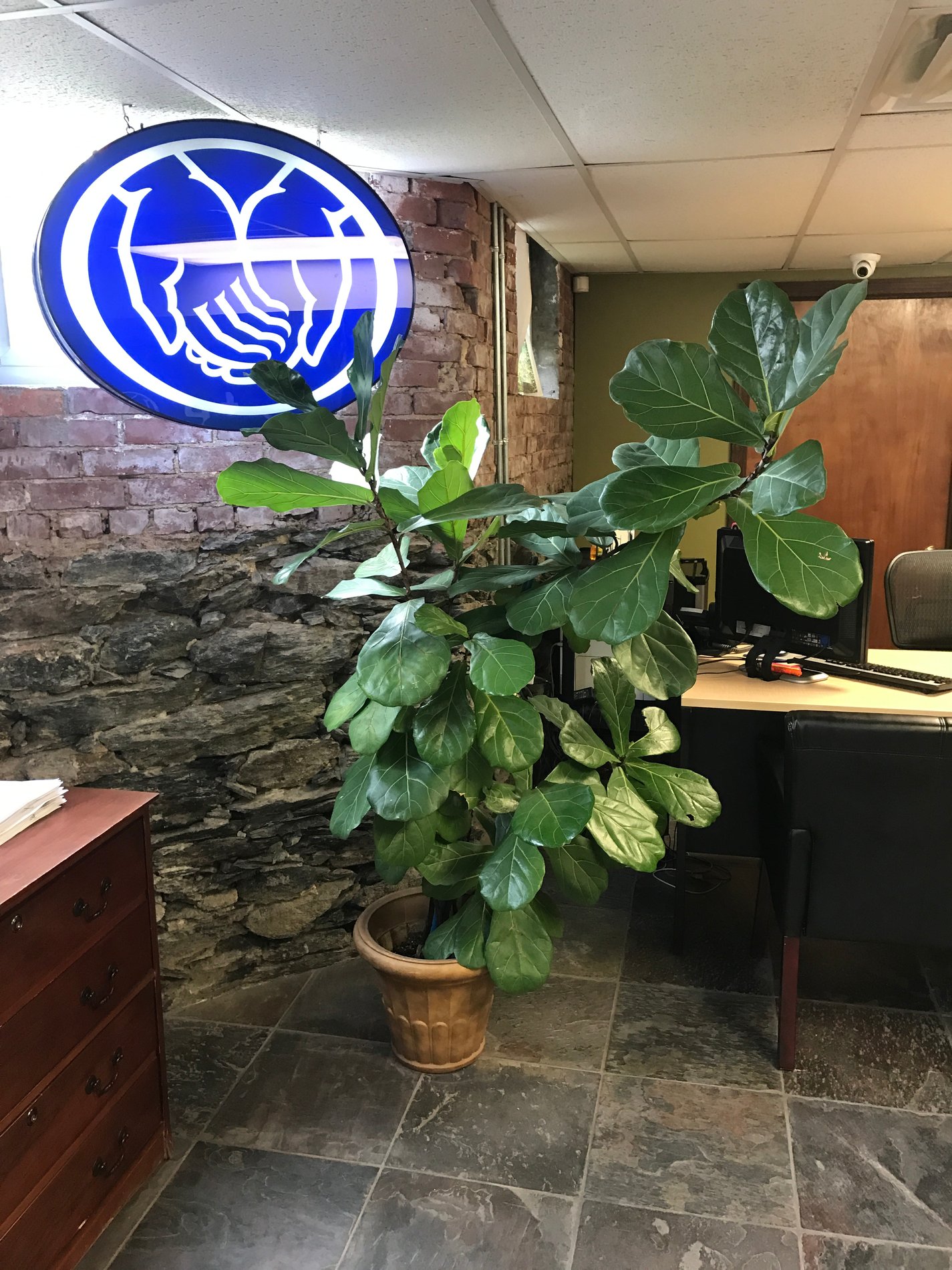 Guzman Insurance Group, LLC Providence, RI