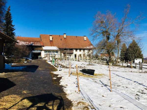 Douceur d'Ebène - Granges (Veveyse) - Domaine