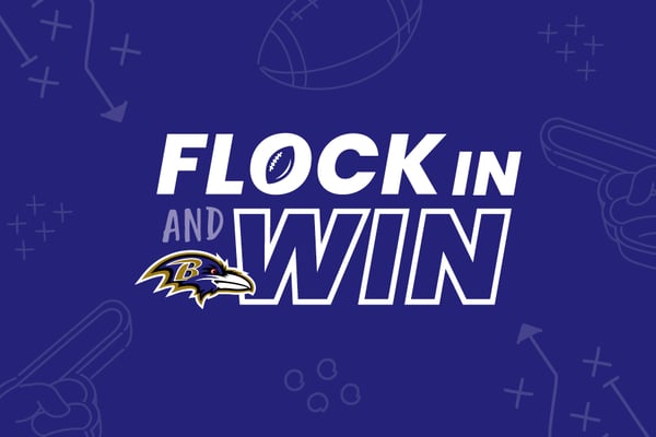 flock in and win