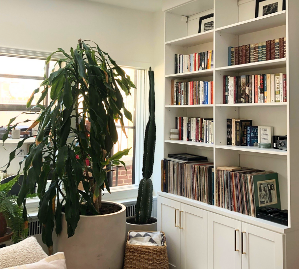 White Custom built bookshelves floor to ceiling shaker doors on bottom of bookshelves with open balanced shelving for books in living room with large plants Manhattan New York City