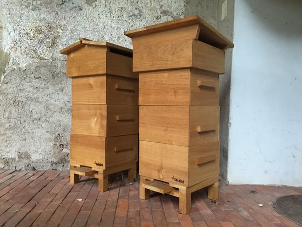 Arnie per api in legno di castagno ticinese