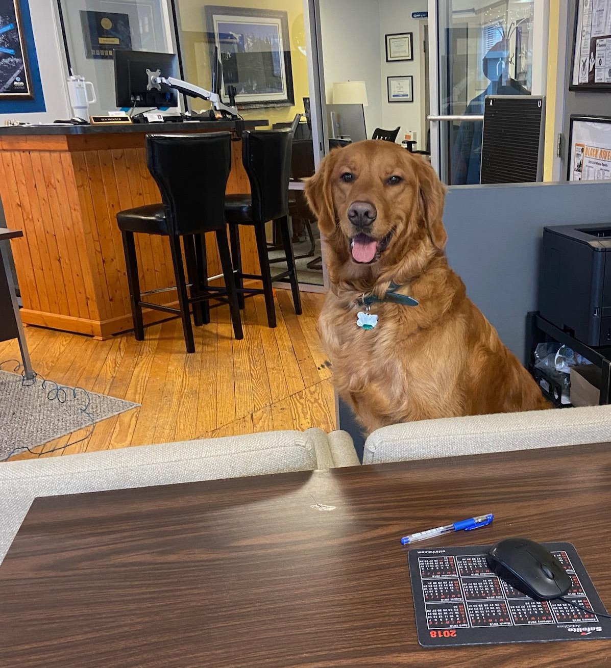 Boone at the office