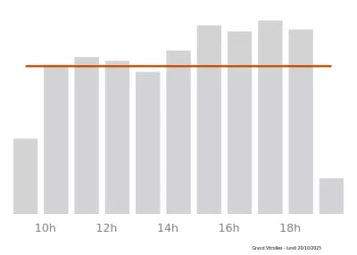 Voir le trafic sur Google maps https://maps.google.com/maps?cid=12734610427598281963
