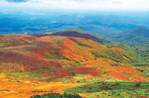 岩手や秋田、山形に接する険しい山や自然が残るエリア