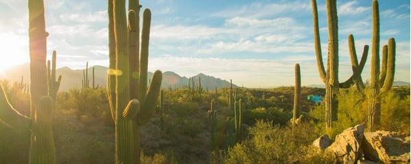 Hero Background Image