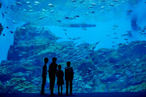 仙台うみの杜水族館