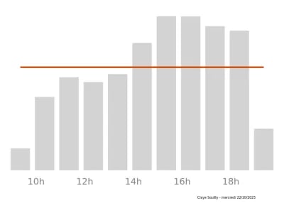 Voir le trafic sur Google maps https://maps.google.com/maps?cid=15654530991560747099