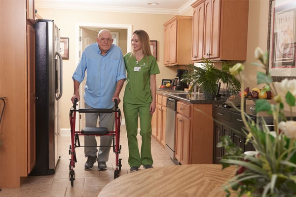 Hospice Aide Services