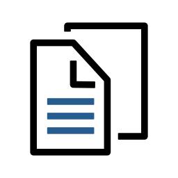 Icon Image