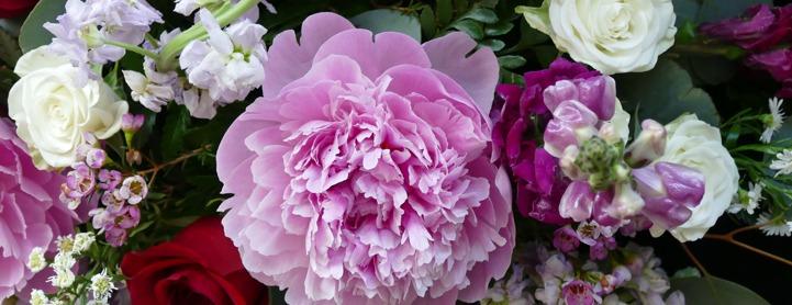 Hero Background Image