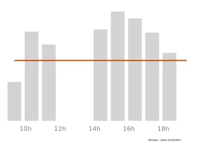 Voir le trafic sur Google maps https://maps.google.com/maps?cid=14228746988357707123