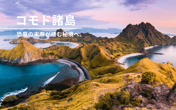 〈インドネシア・コモド諸島〉恐竜の末裔が棲む秘境へ。ピンクの砂浜と群青の海に癒やされる、至福の休日