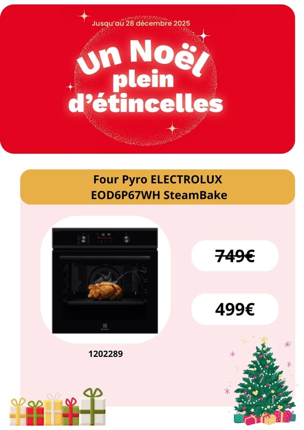 Four Pyro ELECTROLUX EOD6P67WH SteamBake