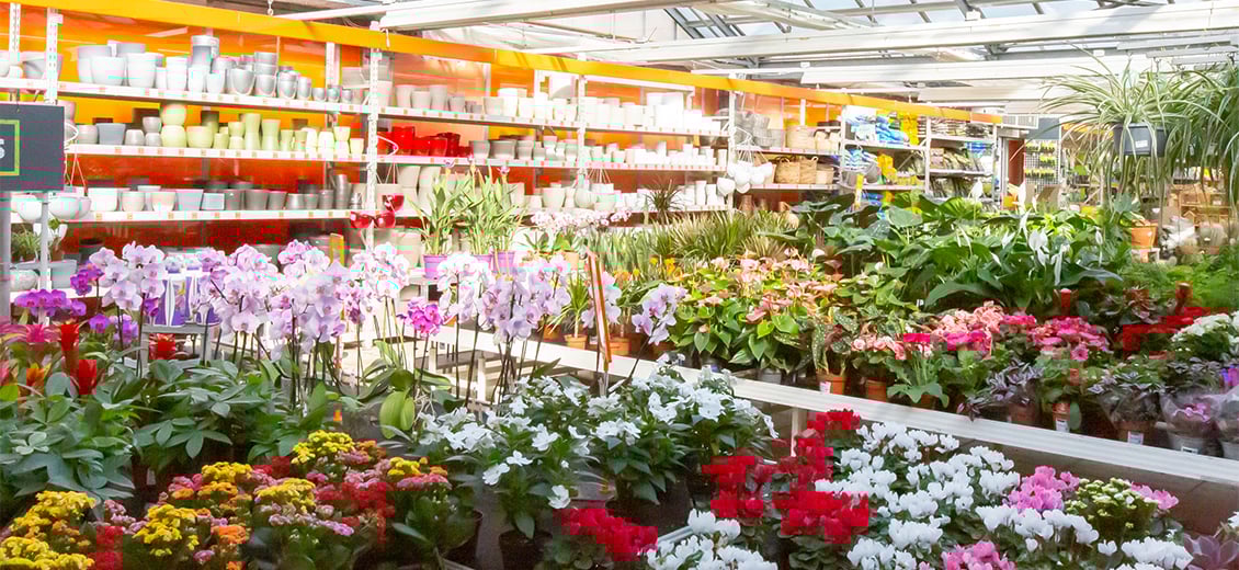 Dein OBI Markt Oldenburg Ammerländer Heerstraße, Ammerländer Heerstr. 2329