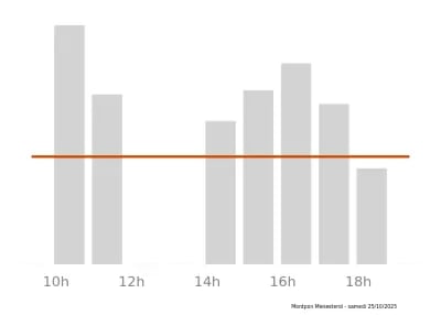 Voir le trafic sur Google maps https://maps.google.com/maps?cid=11960648980829759976
