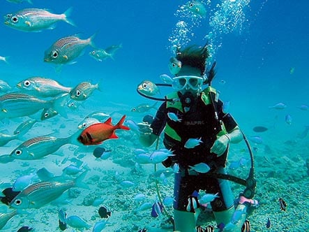 グアムの海に棲むたくさんの魚たちとご対面